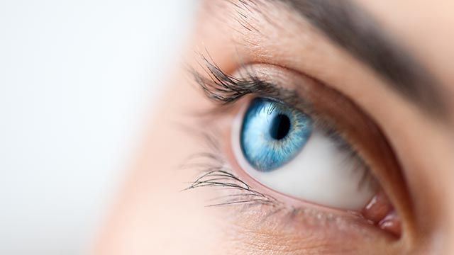 Blaues Auge - Augencreme in Esslingen am Neckar