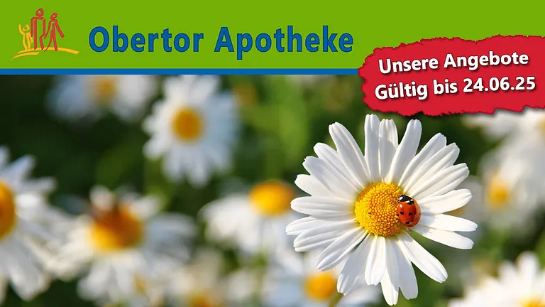 Angebote Obertor Apotheke